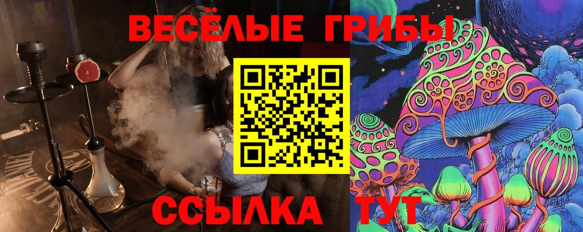 Галлюциногенные грибы Psilocybine cubensis  Псилоцибиновые грибы Psilocybe  Выкса  Вход с VPN 