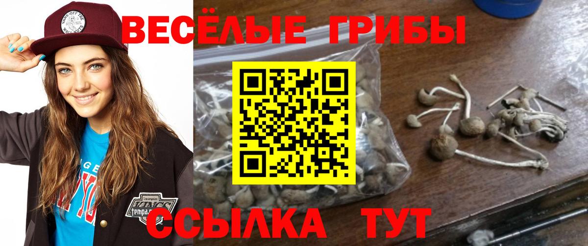 Галлюциногенные грибы мицелий Выкса