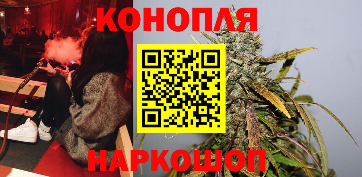 Бошки Шишки планчик  Вход с VPN  Шишки марихуана SATIVA & INDICA  Марихуана Bruce Banner  Выкса  МАРИХУАНА индика 